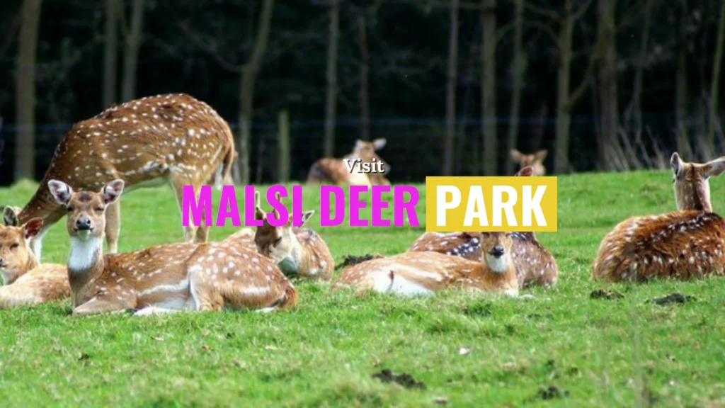 Malsi deer park